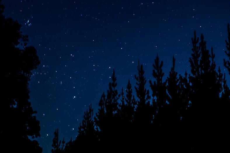 night sky with stars and trees