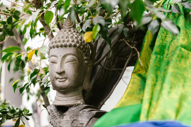 Bodhi Day