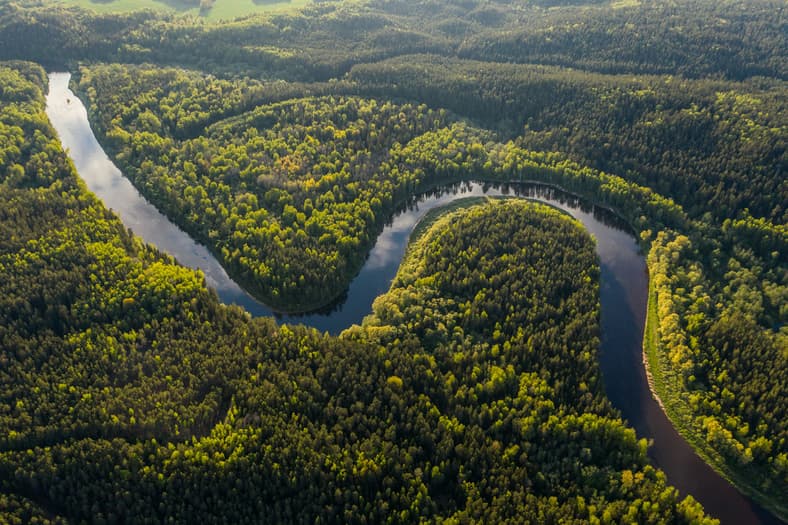amazon river