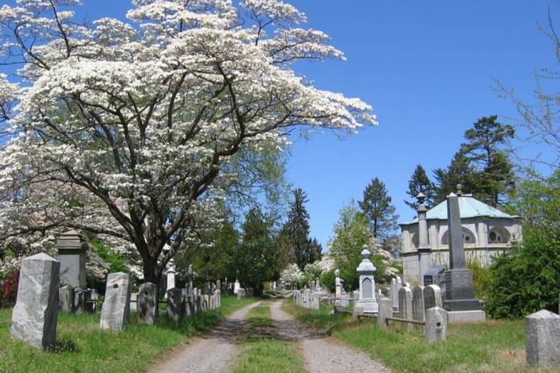 Sleep Hollow Cemetery