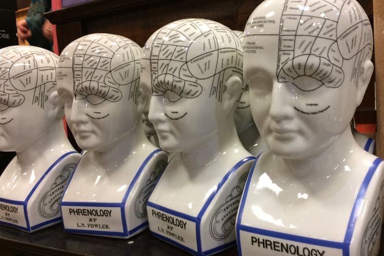 Porcelain Phrenology Head Busts
