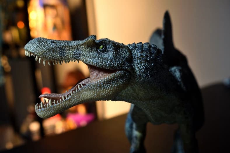 The irritator