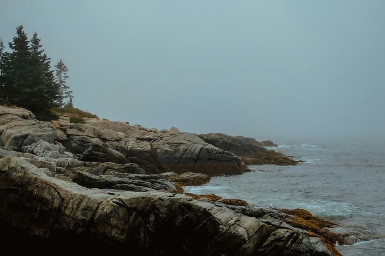 maine coast