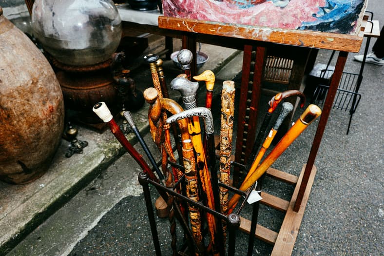 walking sticks and canes