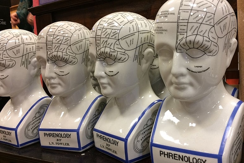 Porcelain Phrenology Head Busts