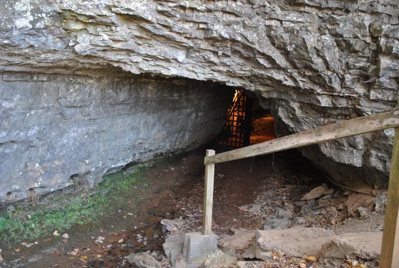 The Bell Witch of Adams