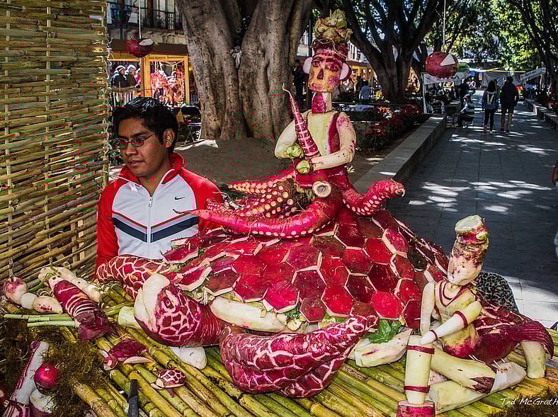 Night of the Radishes