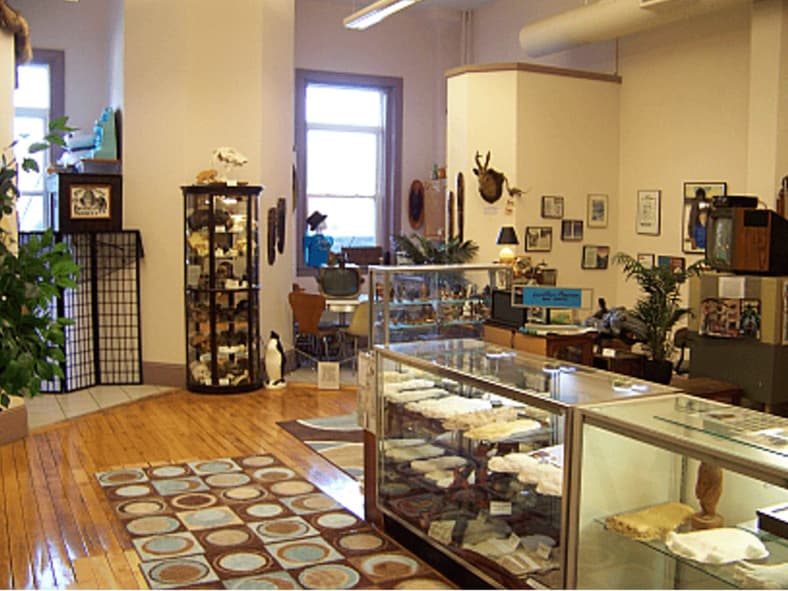 International Cryptozoology Museum