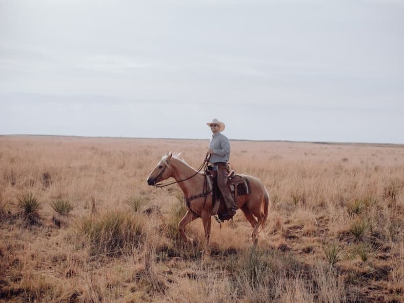 Honor Horses Unsplash