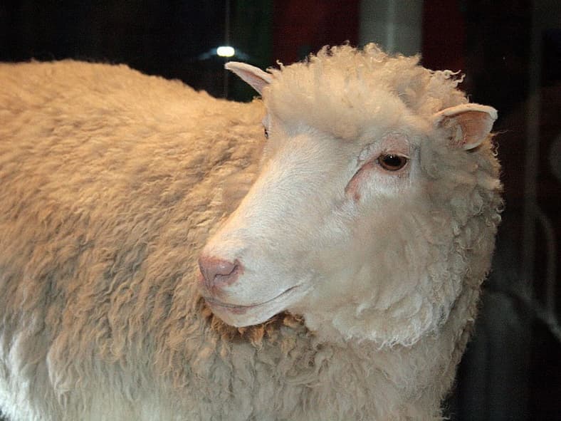 animals that changed history
