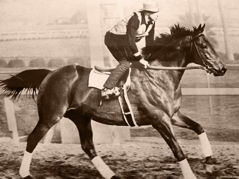 animals that changed history