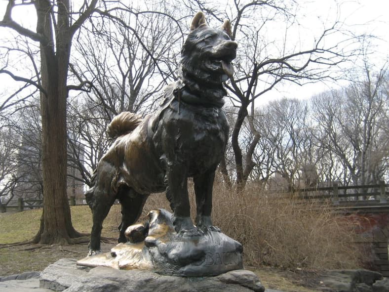 animals that changed history