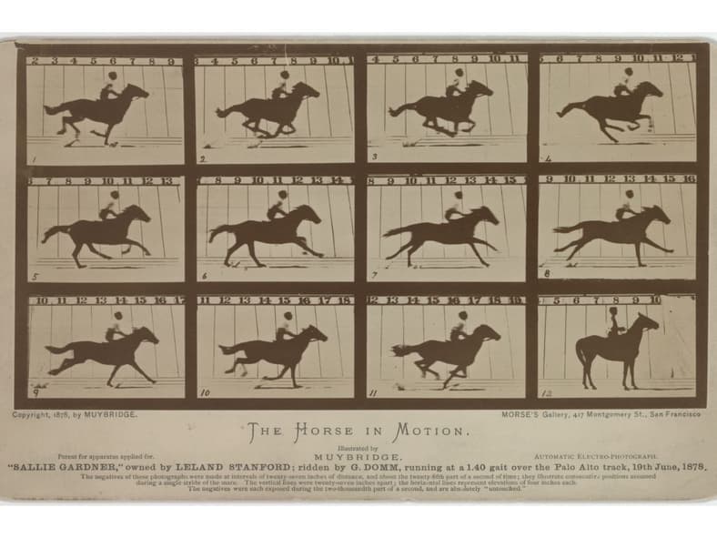 Galloping Horse by Eadweard Muybridge Wiki Commons