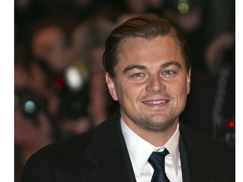Leonardo DiCaprio Google Commons