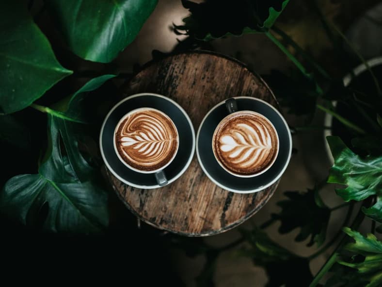 Black Ivory Unsplash