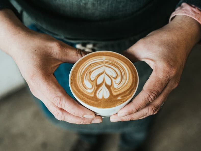 El Injerto Unsplash