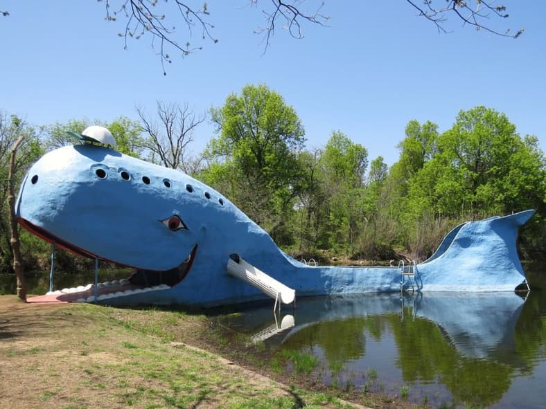 Blue Whale Google Commons
