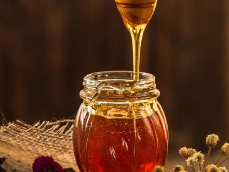 food preservation methods from history