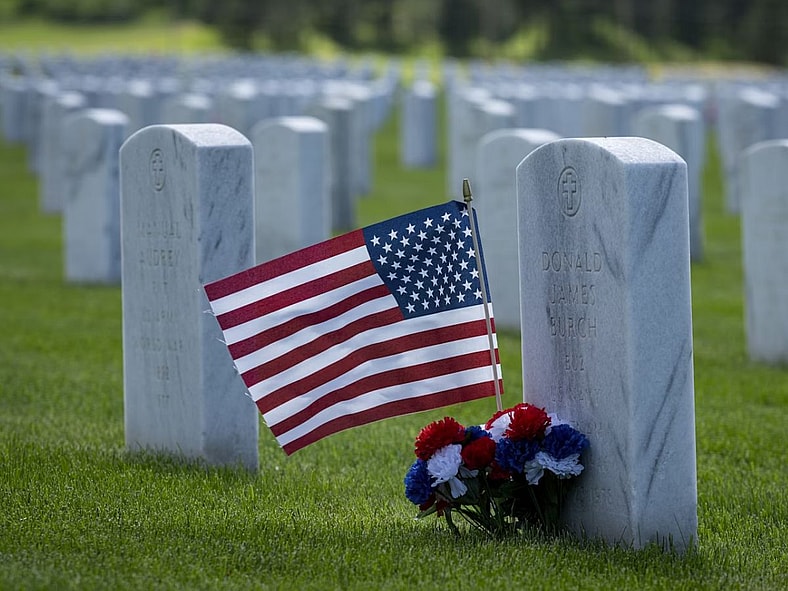Flowers Memorial Day Unsplash
