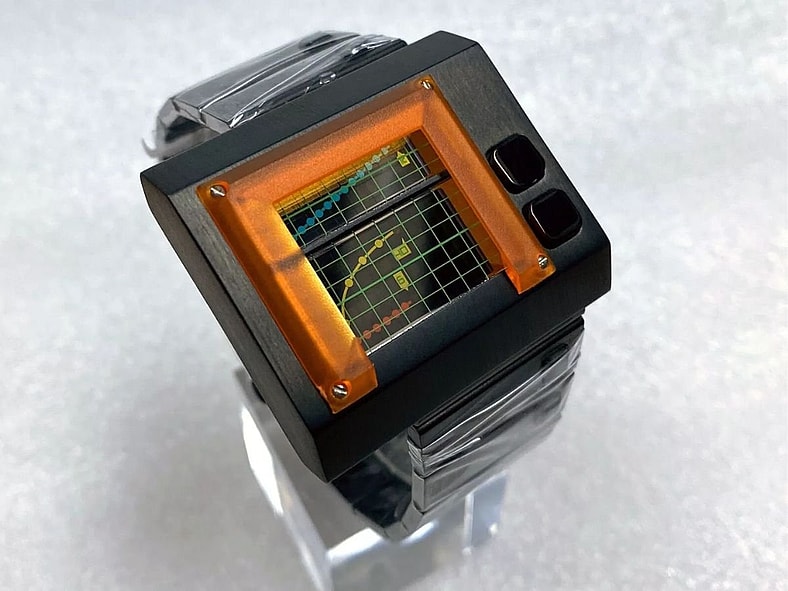 Seahope Watch eBay