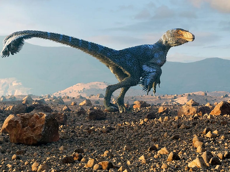 Sinosauropteryx Britannaca