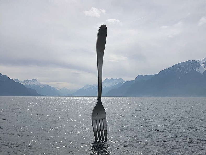 The Fork Wiki Commons