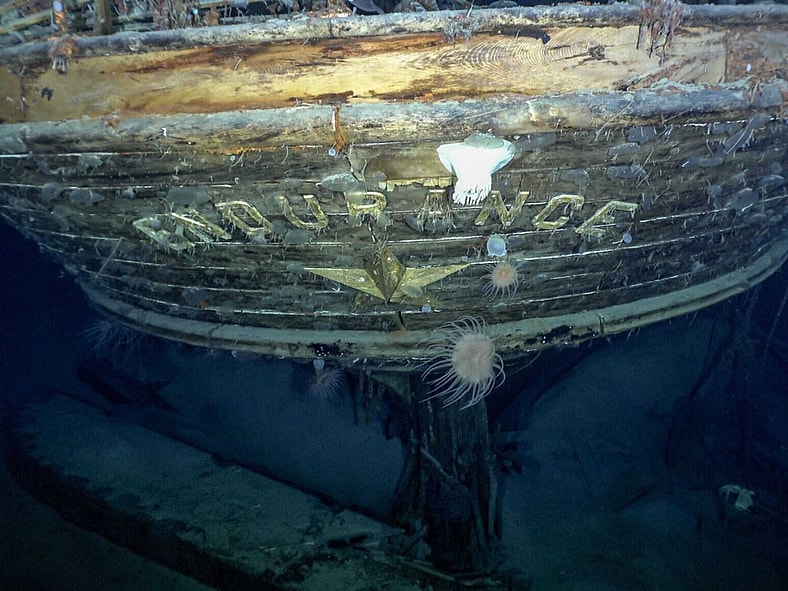 Endurance22 Wiki Commons