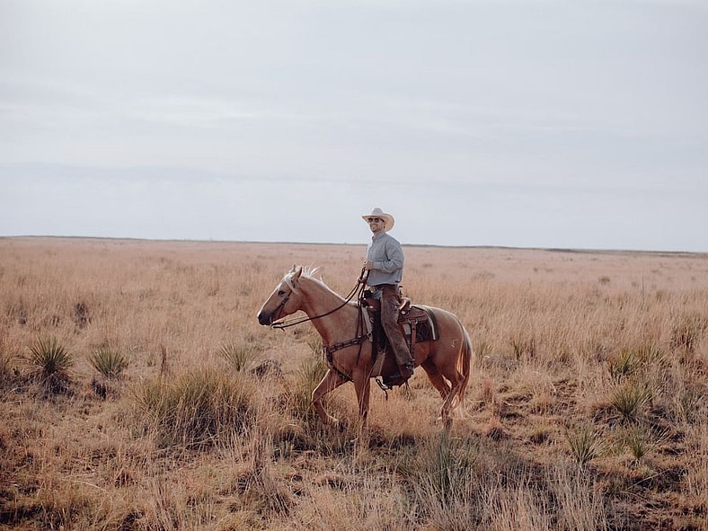 Honor Horses Unsplash