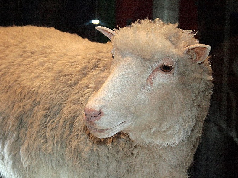 animals that changed history
