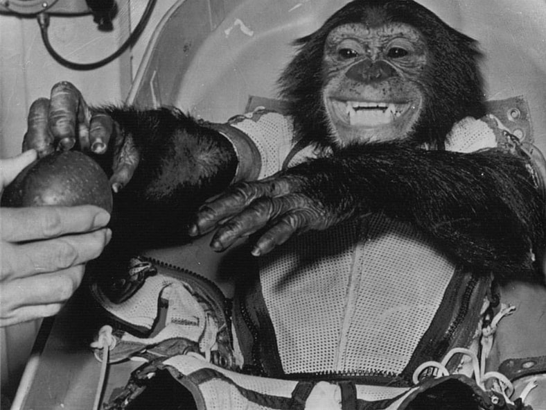 animals that changed history