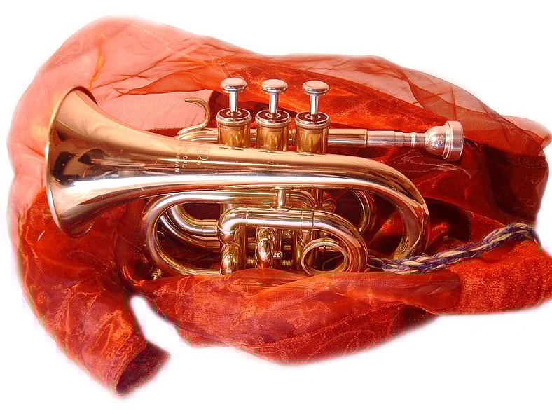 antique musical instruments