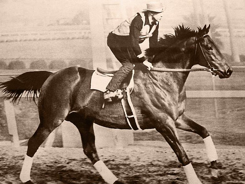 animals that changed history