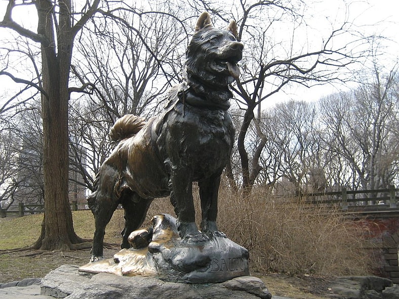 animals that changed history