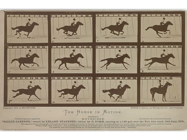 Galloping Horse by Eadweard Muybridge Wiki Commons