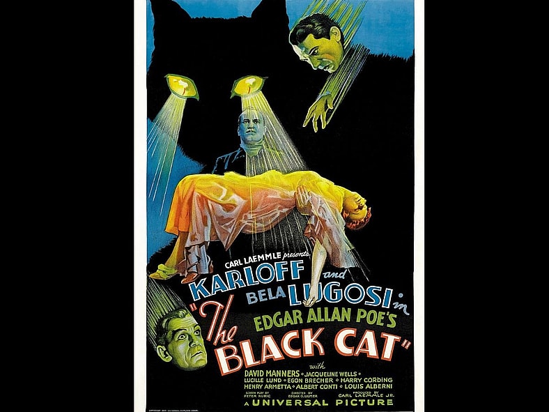 The Black Cat Wiki Commons