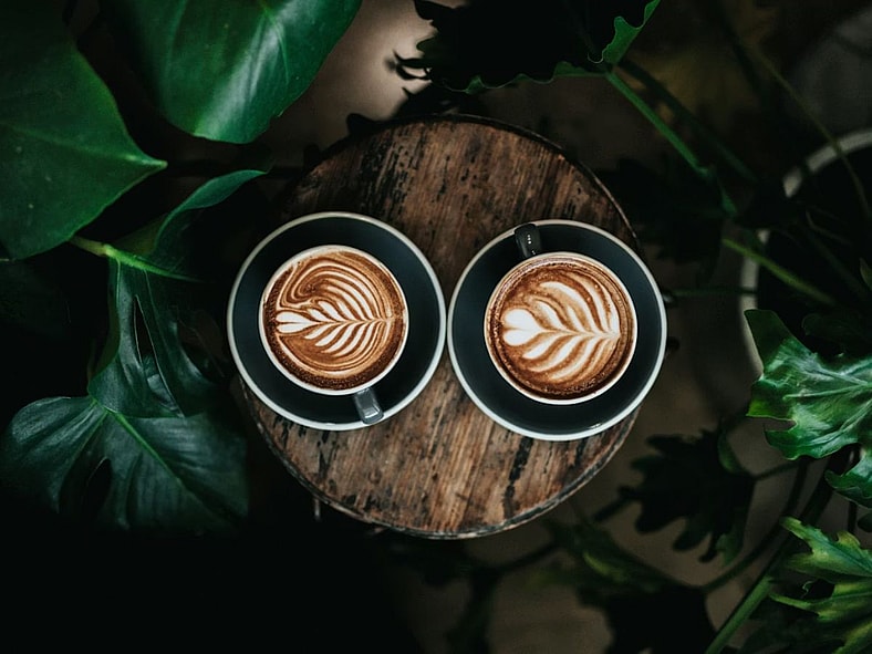 Black Ivory Unsplash