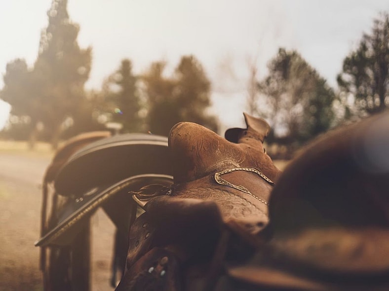 William Willett Daylight Saving Unsplash