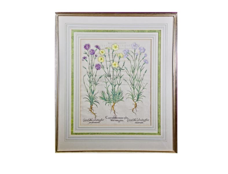 Basilius Besler Cottage Flowers 1st Dibs