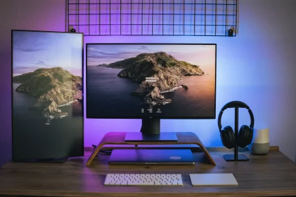 Most Expensive Monitors You Can Use for Work From Home
