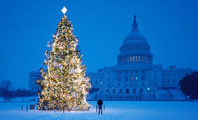 Washington Christmas Tree, Finances Online