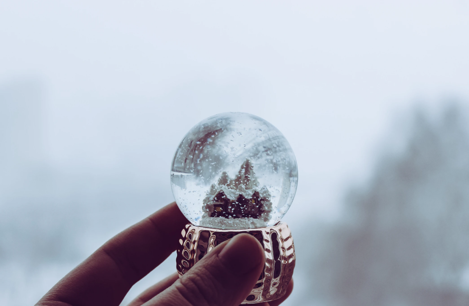 20 Most Expensive Snow Globes Nerdable