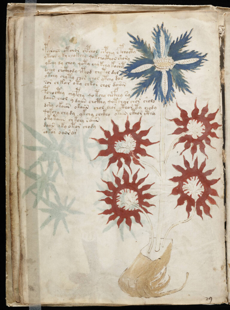 the Voynich manuscript; weird books that remain a mystery