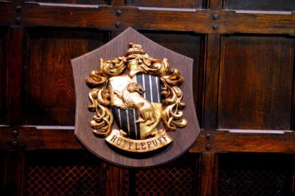 best Hufflepuff collectibles