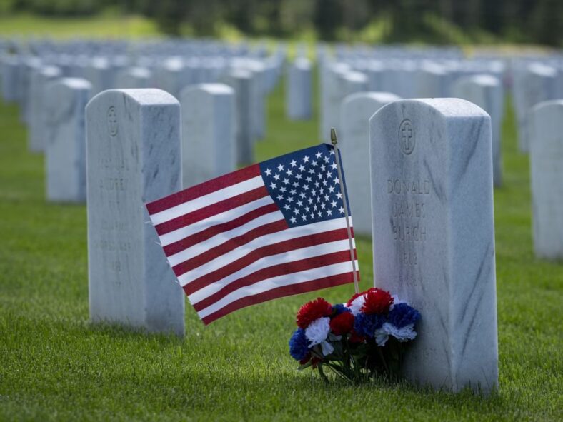 Flowers Memorial Day Unsplash