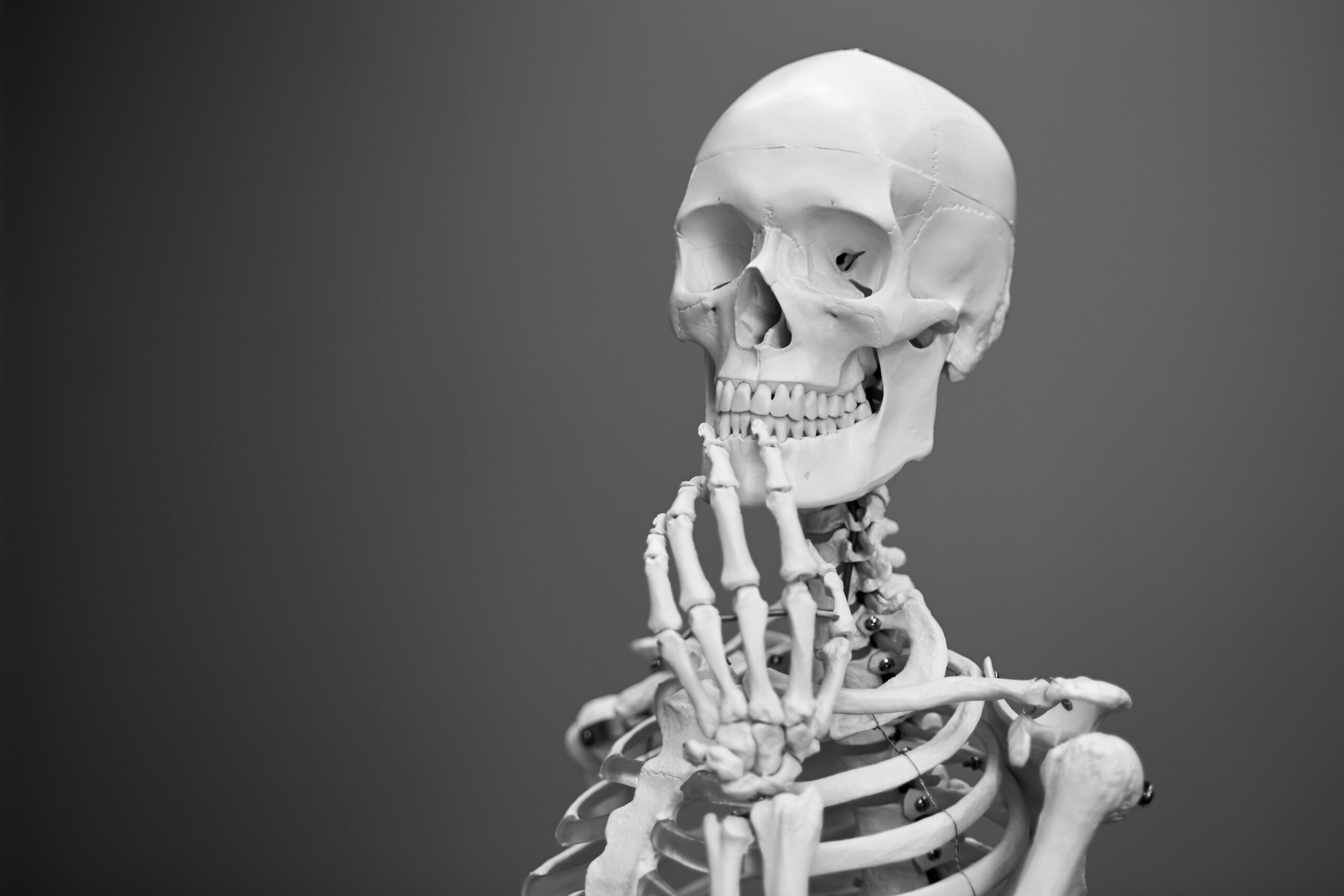 Human Bone, Unsplash