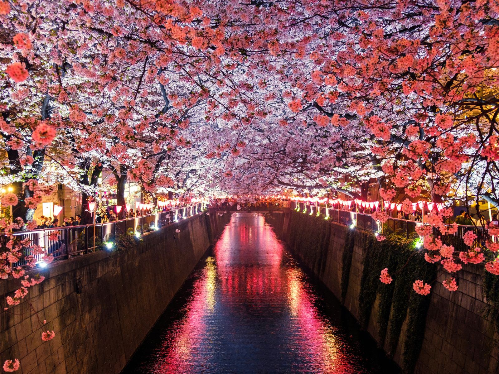 Japan, Unsplash