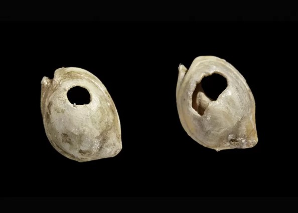 Shell Beads, Human Origins