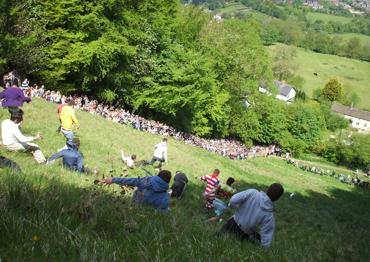 Cheese Rolling, Wiki Media