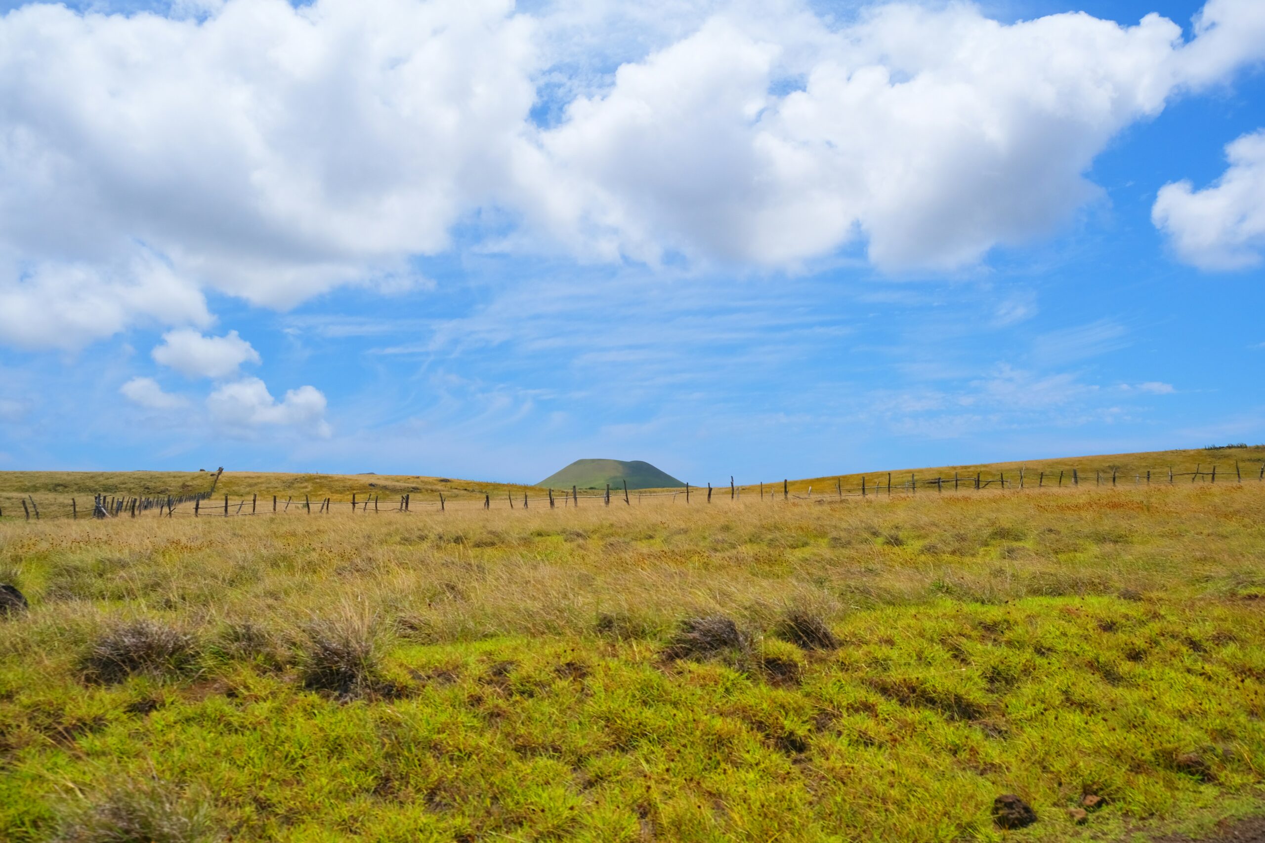 Easter Islands, Unsplash