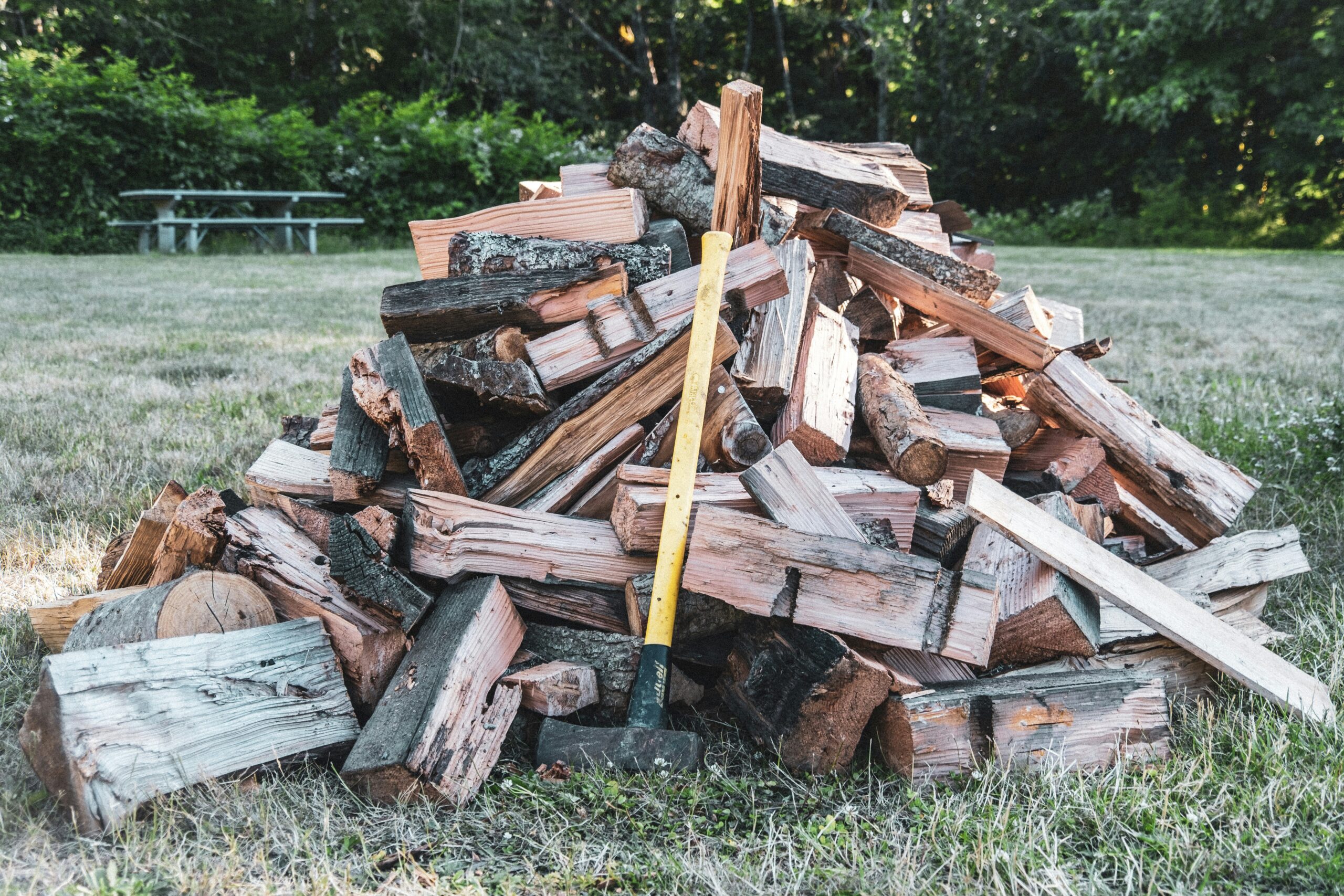 Lumberjack, Unsplash